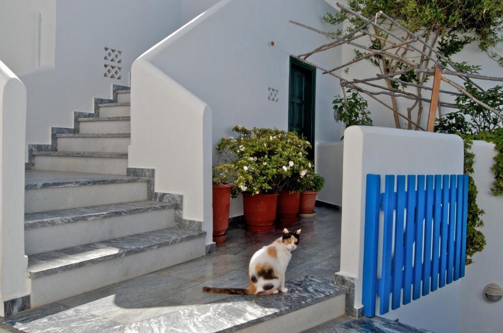 Alex Hotel Tourlos Buitenkant foto